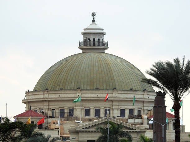 أفضل الجامعات والكليات في مصر | دليل الدراسة الأكاديمية